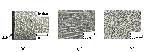  表面冶金层金相组织